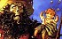 Monkey Island