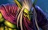 Warcraft