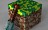 Mojang