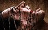 The Evil Within