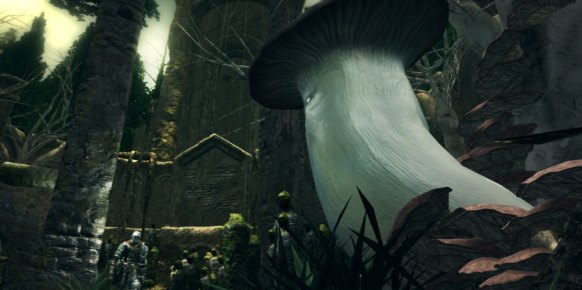 Dark Souls PC