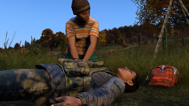 DayZ DayZ