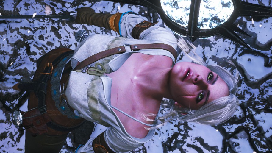 The Witcher 3 Wild Hunt
