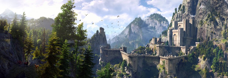 The Witcher 3 Wild Hunt