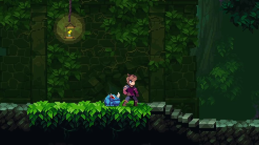 Chasm Vita
